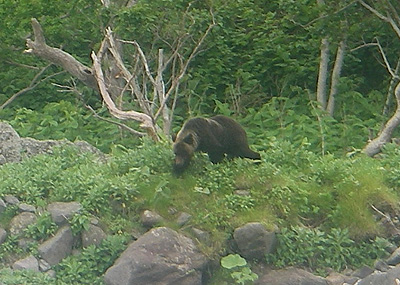 hitokoma2009-628-2.jpg