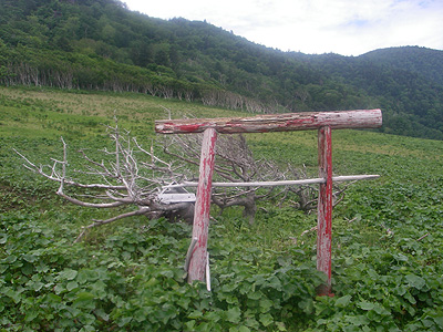 hitokoma2009-628-3.jpg